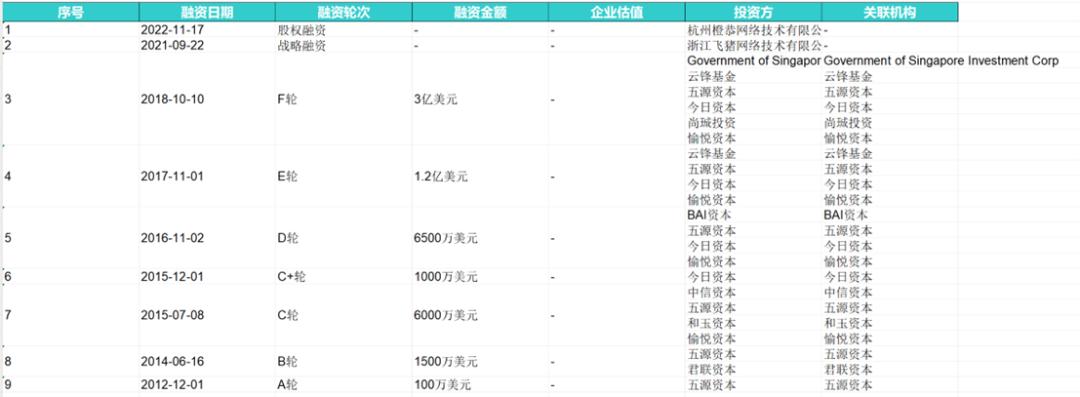 火热的民宿，被资本抛弃了