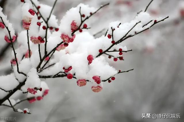 《音乐缘计划》单依纯演绎《落笔成书》，天籁之音诠释唯美画境！