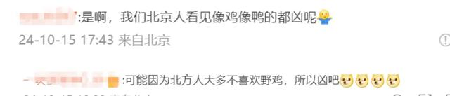 黄晓明女友说伍佰的歌猥琐，北方人说话很凶，评论区一片“骂声”