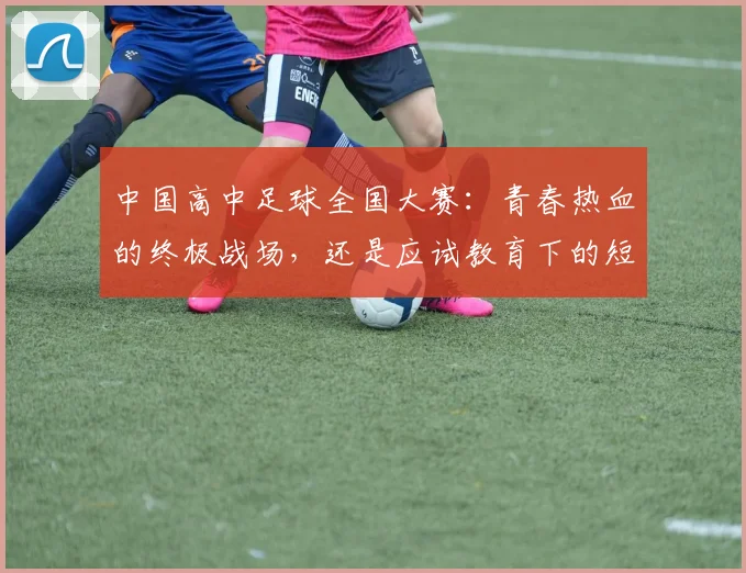 中国高中足球全国大赛：青春热血的终极战场，还是应试教育下的短暂喘息？
