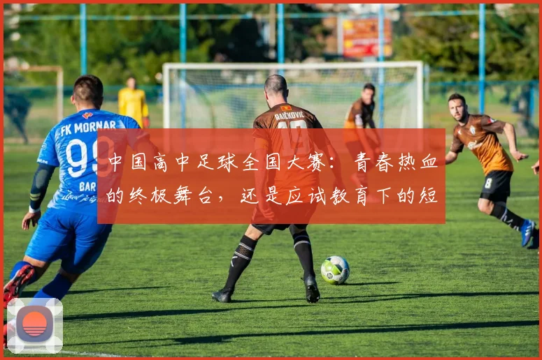 中国高中足球全国大赛：青春热血的终极舞台，还是应试教育下的短暂喘息？