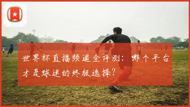 世界杯直播频道全评测：哪个平台才是球迷的终极选择？